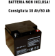 SCUOTITORE SCUOTIOLIVE ABBACCHIATORE PER RACCOLTA OLIVE ELETTRICO A BATTERIA 12V